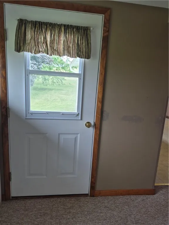 Back door from laundry area