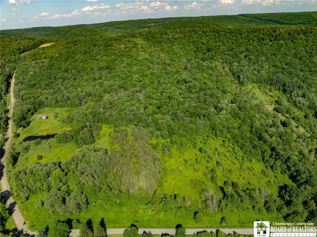 0 Morgan Hollow Road, Franklinville, New York 1473, Franklinville, New York 14737, 2 Bedrooms Bedrooms, ,1 BathroomBathrooms,Land,For Sale,0 Morgan Hollow Road, Franklinville, New York 1473,R1620702