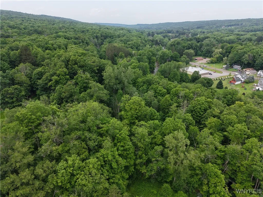 8762 Lower East Hill Road, Colden, New York 14033, Colden, New York 14033, ,Land,For Sale,8762 Lower East Hill Road, Colden, New York 14033,B1616296