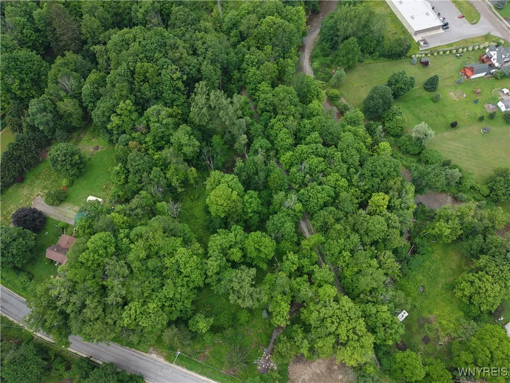 8762 Lower East Hill Road, Colden, New York 14033, Colden, New York 14033, ,Land,For Sale,8762 Lower East Hill Road, Colden, New York 14033,B1616296