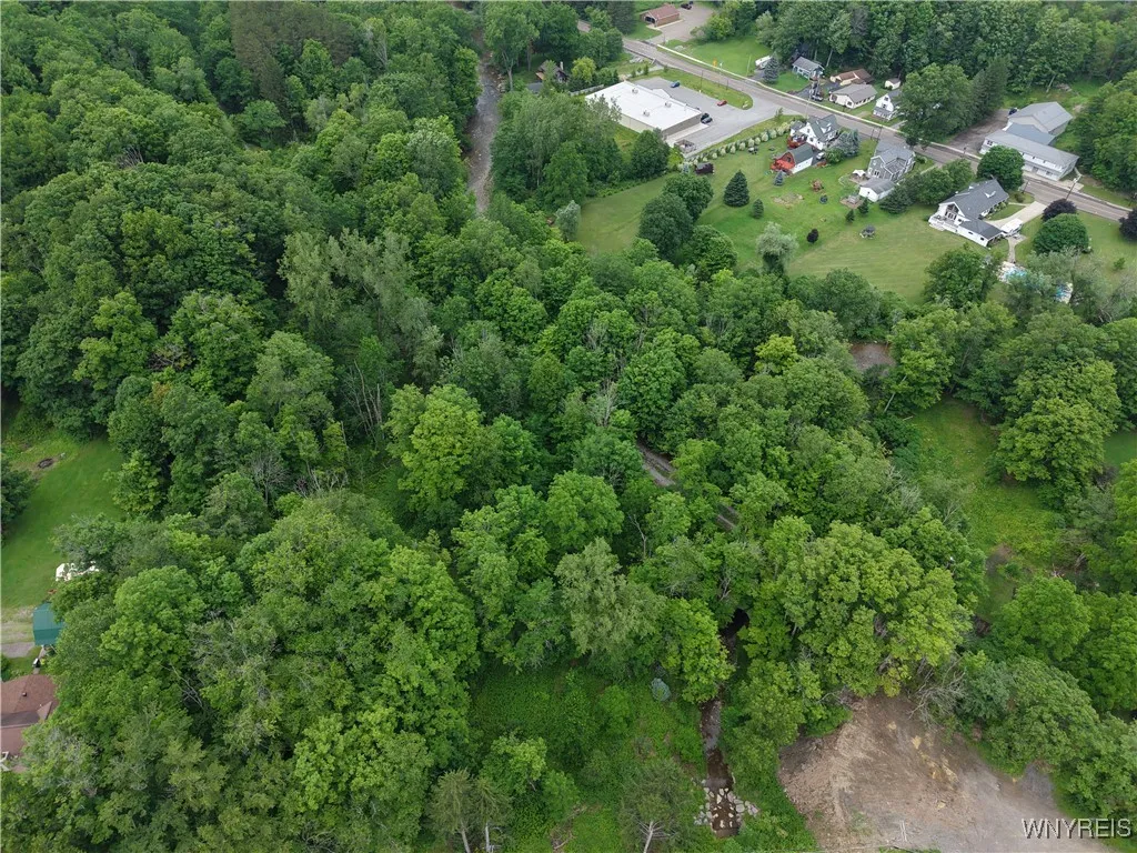 8762 Lower East Hill Road, Colden, New York 14033, Colden, New York 14033, ,Land,For Sale,8762 Lower East Hill Road, Colden, New York 14033,B1616296