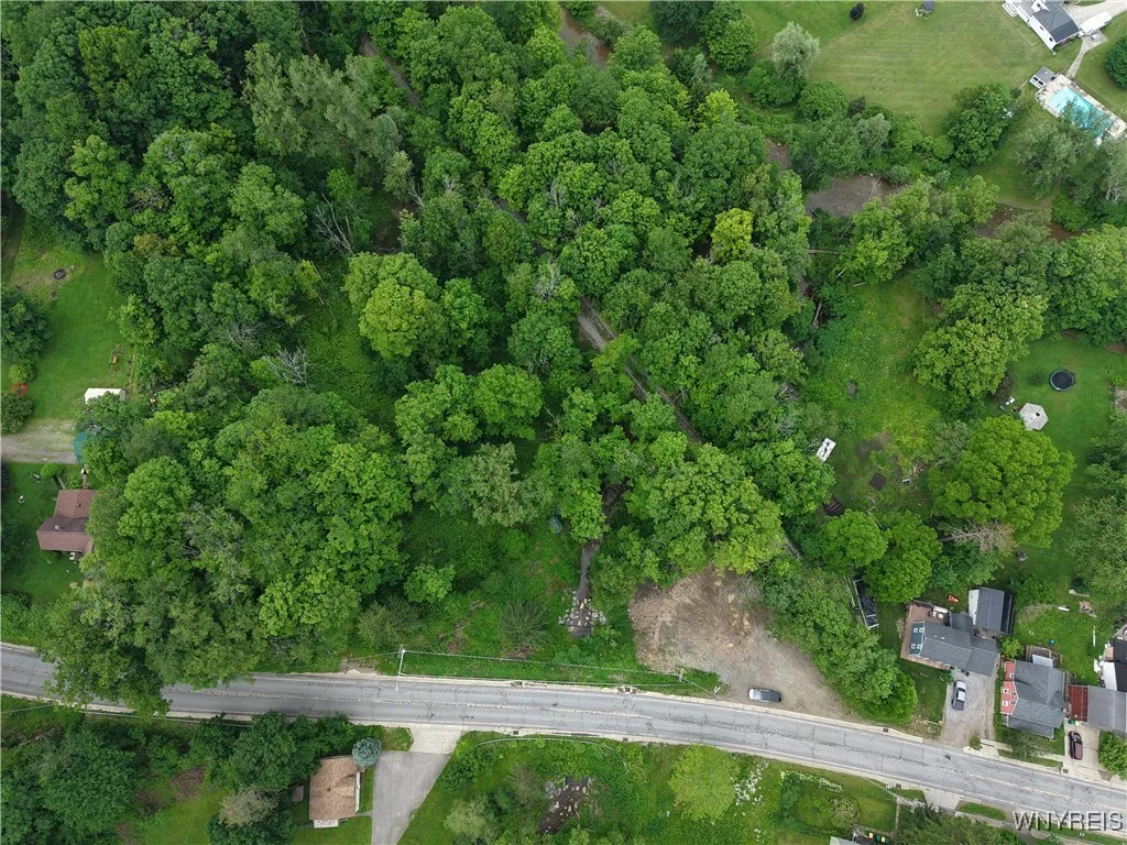 8762 Lower East Hill Road, Colden, New York 14033, Colden, New York 14033, ,Land,For Sale,8762 Lower East Hill Road, Colden, New York 14033,B1616296