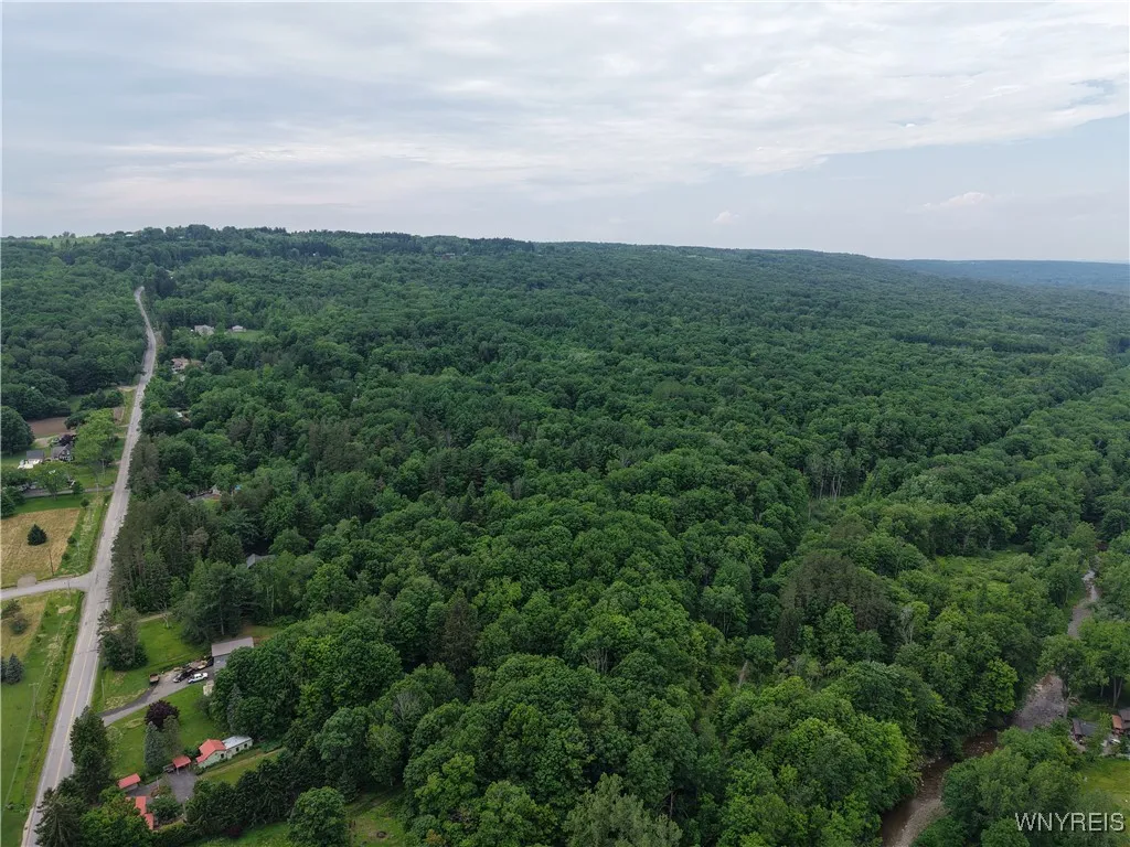 8762 Lower East Hill Road, Colden, New York 14033, Colden, New York 14033, ,Land,For Sale,8762 Lower East Hill Road, Colden, New York 14033,B1616296