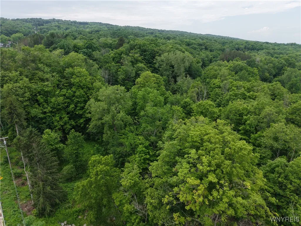 8762 Lower East Hill Road, Colden, New York 14033, Colden, New York 14033, ,Land,For Sale,8762 Lower East Hill Road, Colden, New York 14033,B1616296