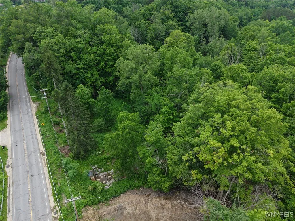 8762 Lower East Hill Road, Colden, New York 14033, Colden, New York 14033, ,Land,For Sale,8762 Lower East Hill Road, Colden, New York 14033,B1616296