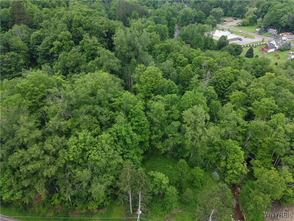 8762 Lower East Hill Road, Colden, New York 14033, Colden, New York 14033, ,Land,For Sale,8762 Lower East Hill Road, Colden, New York 14033,B1616296