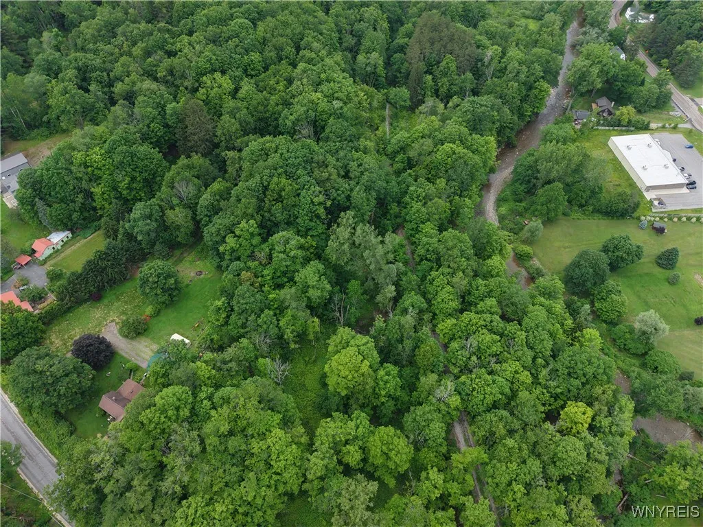 8762 Lower East Hill Road, Colden, New York 14033, Colden, New York 14033, ,Land,For Sale,8762 Lower East Hill Road, Colden, New York 14033,B1616296