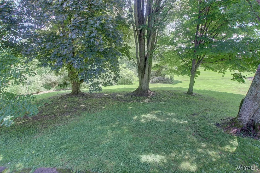 6716 Main Street, Cherry Creek, New York 14723, Cherry Creek, New York 14723, 3 Bedrooms Bedrooms, 8 Rooms Rooms,1 BathroomBathrooms,Residential,Closed,6716 Main Street, Cherry Creek, New York 14723,0,B1620891