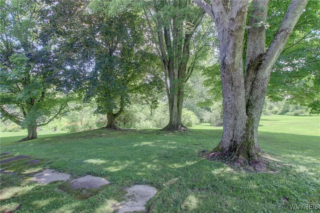 6716 Main Street, Cherry Creek, New York 14723, Cherry Creek, New York 14723, 3 Bedrooms Bedrooms, 8 Rooms Rooms,1 BathroomBathrooms,Residential,Closed,6716 Main Street, Cherry Creek, New York 14723,0,B1620891