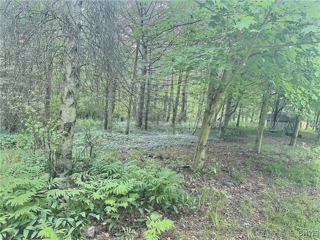 3776 State Highway 80, Sherburne, New York 13460, Sherburne, New York 13460, ,Land,For Sale,3776 State Highway 80, Sherburne, New York 13460,S1621136