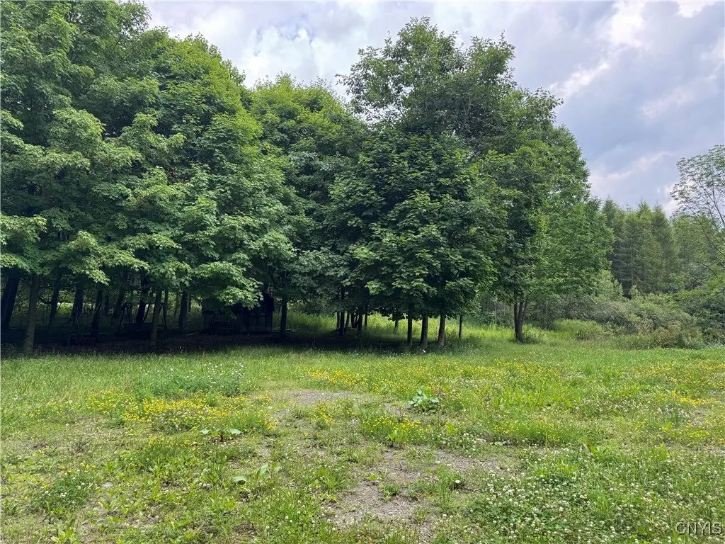 3776 State Highway 80, Sherburne, New York 13460, Sherburne, New York 13460, ,Land,For Sale,3776 State Highway 80, Sherburne, New York 13460,S1621136