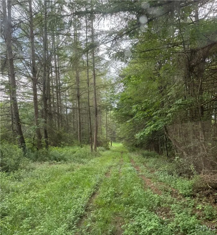 3776 State Highway 80, Sherburne, New York 13460, Sherburne, New York 13460, ,Land,For Sale,3776 State Highway 80, Sherburne, New York 13460,S1621136