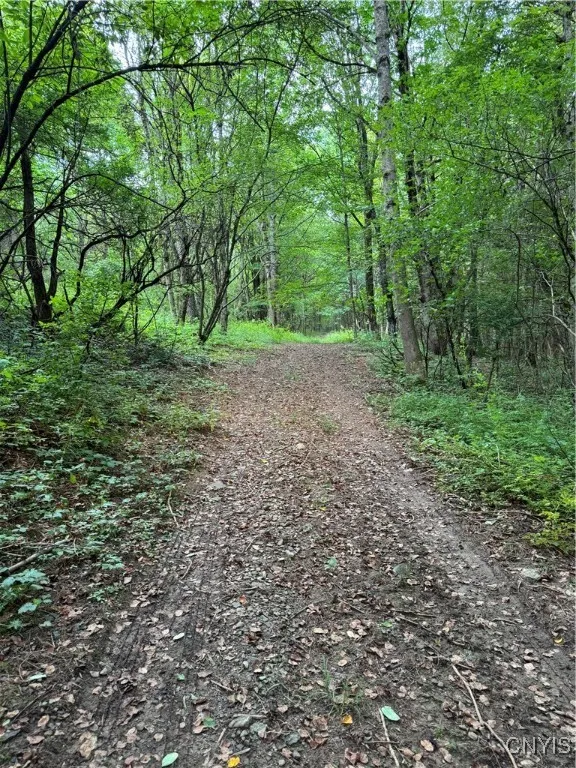 3776 State Highway 80, Sherburne, New York 13460, Sherburne, New York 13460, ,Land,For Sale,3776 State Highway 80, Sherburne, New York 13460,S1621136