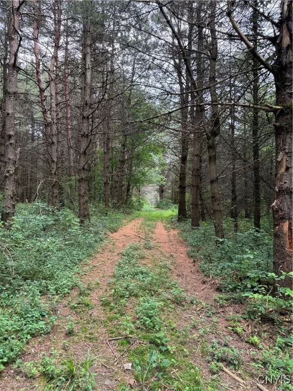 3776 State Highway 80, Sherburne, New York 13460, Sherburne, New York 13460, ,Land,For Sale,3776 State Highway 80, Sherburne, New York 13460,S1621136