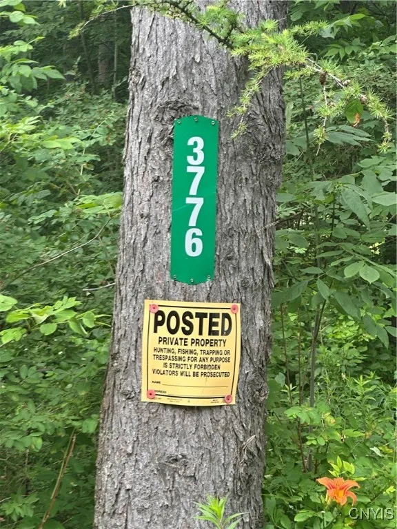 3776 State Highway 80, Sherburne, New York 13460, Sherburne, New York 13460, ,Land,For Sale,3776 State Highway 80, Sherburne, New York 13460,S1621136