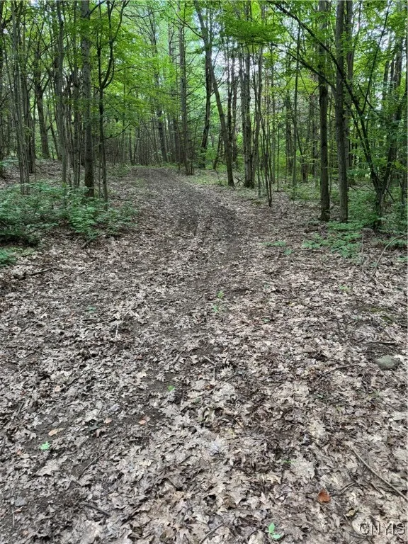 3776 State Highway 80, Sherburne, New York 13460, Sherburne, New York 13460, ,Land,For Sale,3776 State Highway 80, Sherburne, New York 13460,S1621136