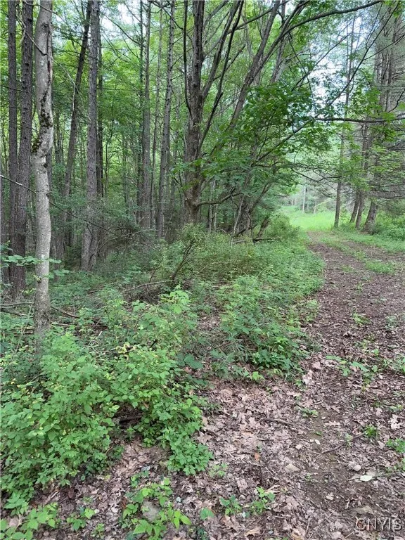 3776 State Highway 80, Sherburne, New York 13460, Sherburne, New York 13460, ,Land,For Sale,3776 State Highway 80, Sherburne, New York 13460,S1621136