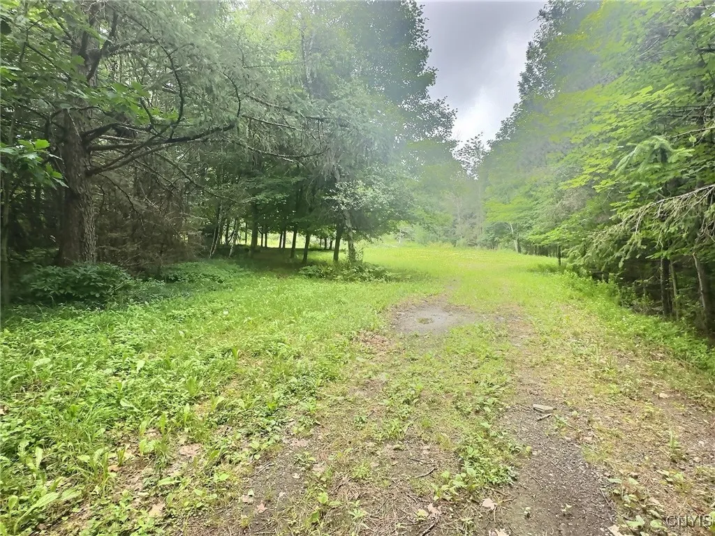 3776 State Highway 80, Sherburne, New York 13460, Sherburne, New York 13460, ,Land,For Sale,3776 State Highway 80, Sherburne, New York 13460,S1621136