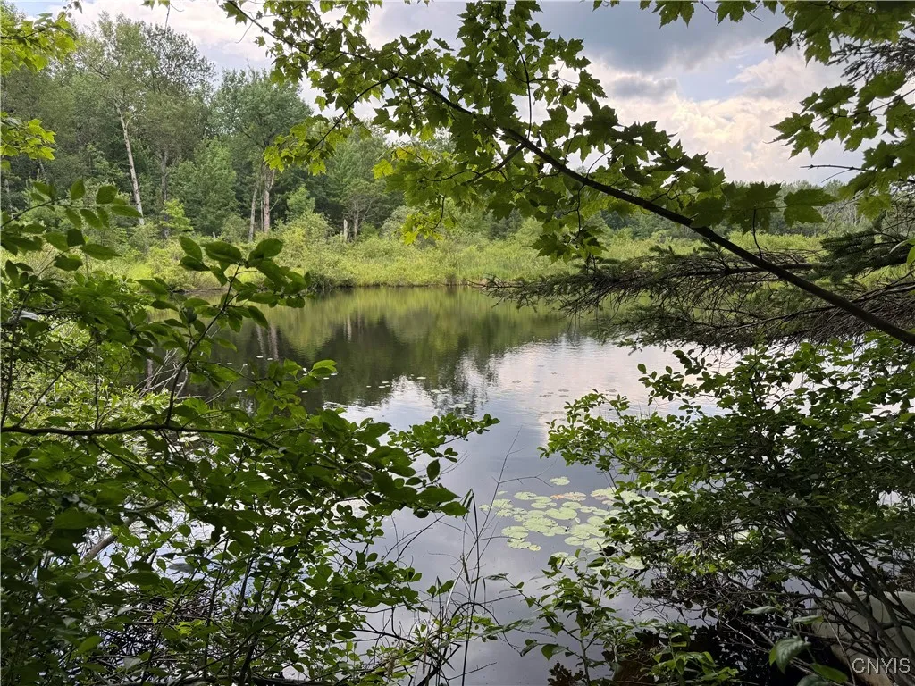 3776 State Highway 80, Sherburne, New York 13460, Sherburne, New York 13460, ,Land,For Sale,3776 State Highway 80, Sherburne, New York 13460,S1621136