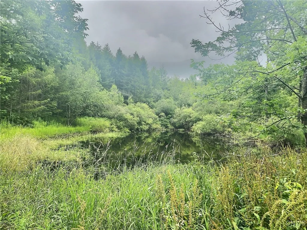 3776 State Highway 80, Sherburne, New York 13460, Sherburne, New York 13460, ,Land,For Sale,3776 State Highway 80, Sherburne, New York 13460,S1621136