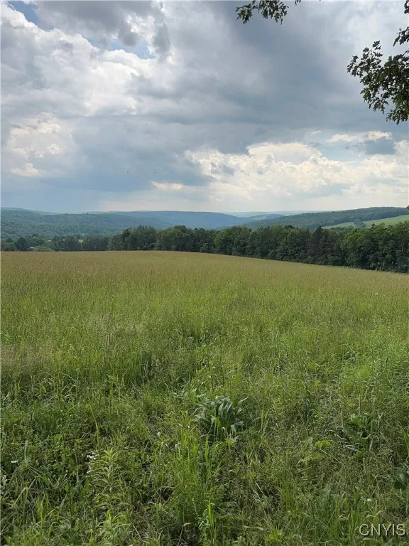 3776 State Highway 80, Sherburne, New York 13460, Sherburne, New York 13460, ,Land,For Sale,3776 State Highway 80, Sherburne, New York 13460,S1621136