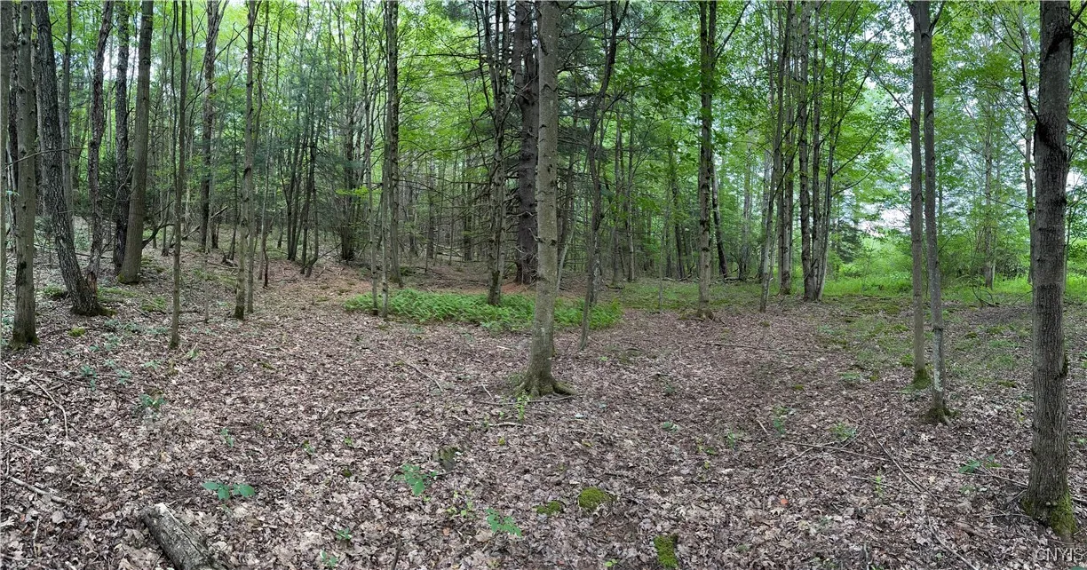 3776 State Highway 80, Sherburne, New York 13460, Sherburne, New York 13460, ,Land,For Sale,3776 State Highway 80, Sherburne, New York 13460,S1621136