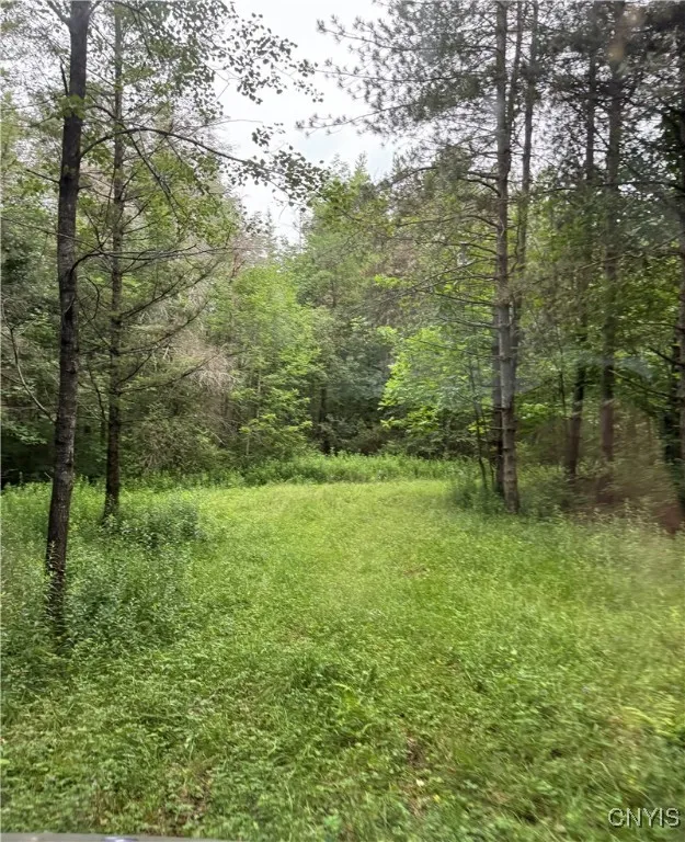 3776 State Highway 80, Sherburne, New York 13460, Sherburne, New York 13460, ,Land,For Sale,3776 State Highway 80, Sherburne, New York 13460,S1621136