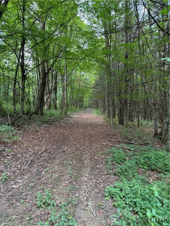 3776 State Highway 80, Sherburne, New York 13460, Sherburne, New York 13460, ,Land,For Sale,3776 State Highway 80, Sherburne, New York 13460,S1621136