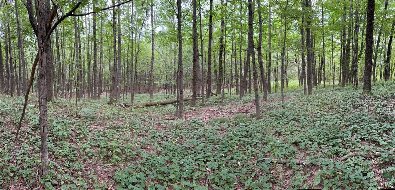 3776 State Highway 80, Sherburne, New York 13460, Sherburne, New York 13460, ,Land,For Sale,3776 State Highway 80, Sherburne, New York 13460,S1621136