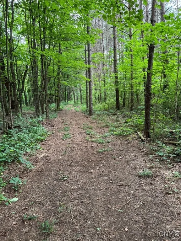3776 State Highway 80, Sherburne, New York 13460, Sherburne, New York 13460, ,Land,For Sale,3776 State Highway 80, Sherburne, New York 13460,S1621136