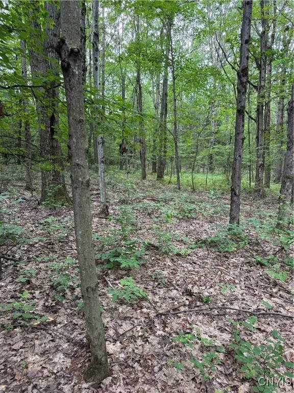 3776 State Highway 80, Sherburne, New York 13460, Sherburne, New York 13460, ,Land,For Sale,3776 State Highway 80, Sherburne, New York 13460,S1621136