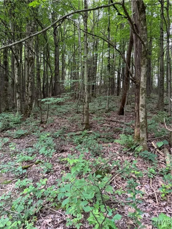 3776 State Highway 80, Sherburne, New York 13460, Sherburne, New York 13460, ,Land,For Sale,3776 State Highway 80, Sherburne, New York 13460,S1621136