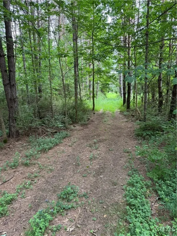 3776 State Highway 80, Sherburne, New York 13460, Sherburne, New York 13460, ,Land,For Sale,3776 State Highway 80, Sherburne, New York 13460,S1621136
