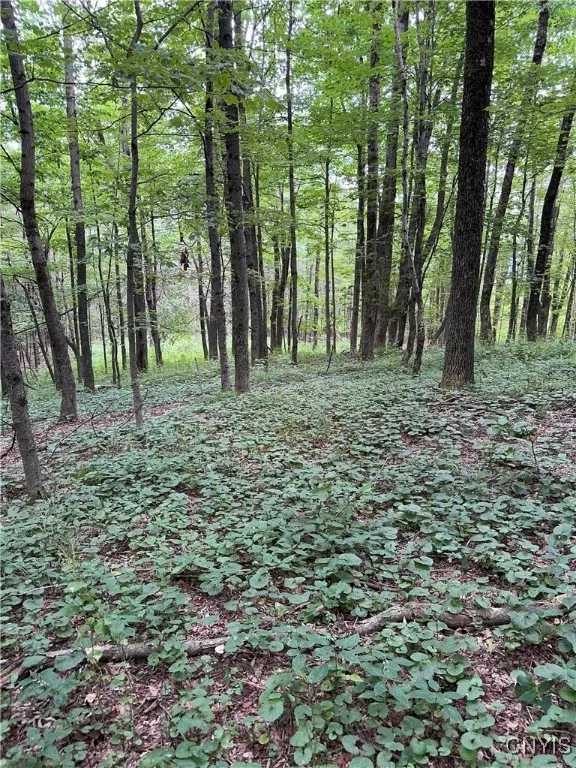 3776 State Highway 80, Sherburne, New York 13460, Sherburne, New York 13460, ,Land,For Sale,3776 State Highway 80, Sherburne, New York 13460,S1621136