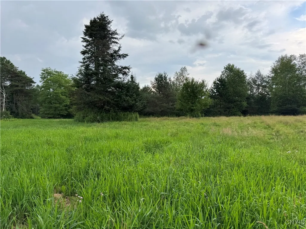 3776 State Highway 80, Sherburne, New York 13460, Sherburne, New York 13460, ,Land,For Sale,3776 State Highway 80, Sherburne, New York 13460,S1621136