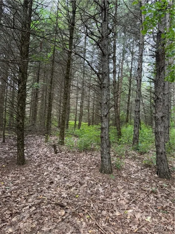 3776 State Highway 80, Sherburne, New York 13460, Sherburne, New York 13460, ,Land,For Sale,3776 State Highway 80, Sherburne, New York 13460,S1621136