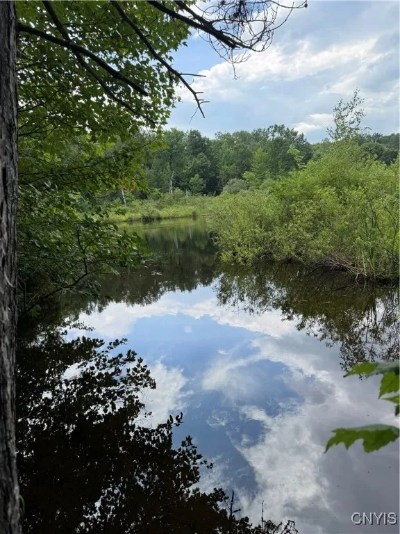 3776 State Highway 80, Sherburne, New York 13460, Sherburne, New York 13460, ,Land,For Sale,3776 State Highway 80, Sherburne, New York 13460,S1621136