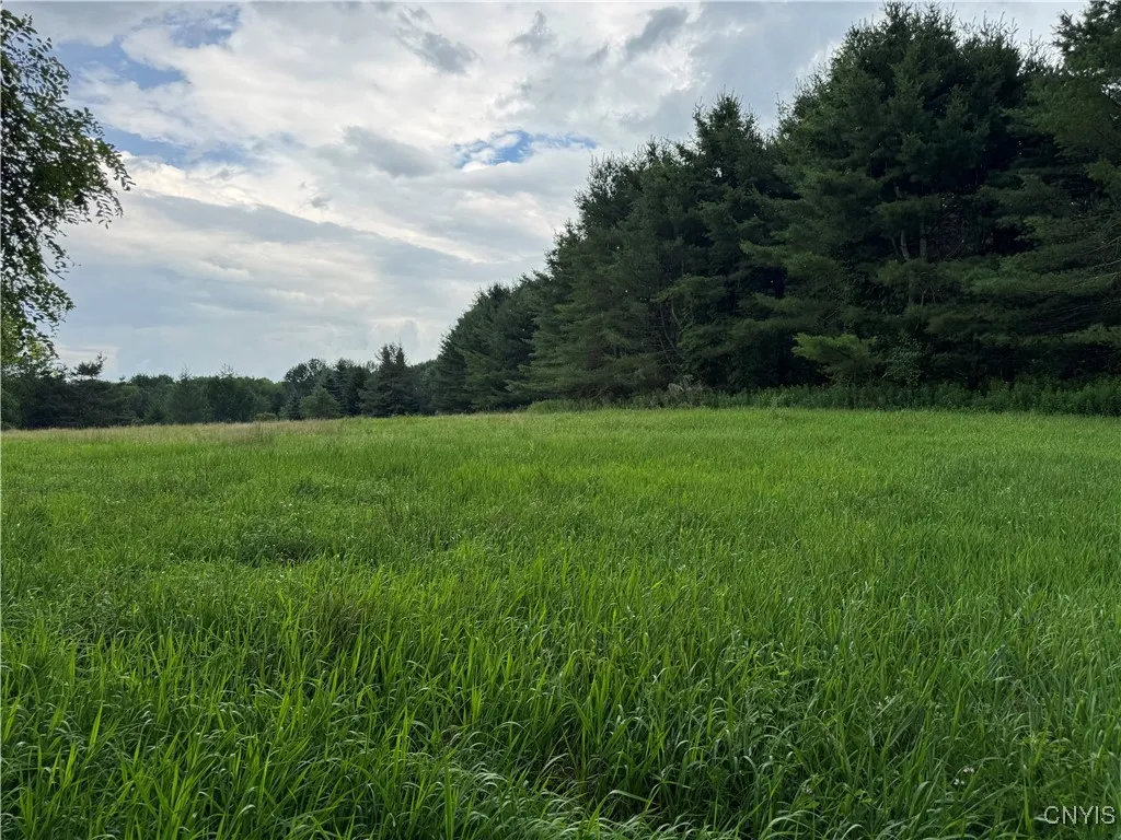 3776 State Highway 80, Sherburne, New York 13460, Sherburne, New York 13460, ,Land,For Sale,3776 State Highway 80, Sherburne, New York 13460,S1621136