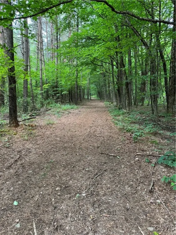 3776 State Highway 80, Sherburne, New York 13460, Sherburne, New York 13460, ,Land,For Sale,3776 State Highway 80, Sherburne, New York 13460,S1621136