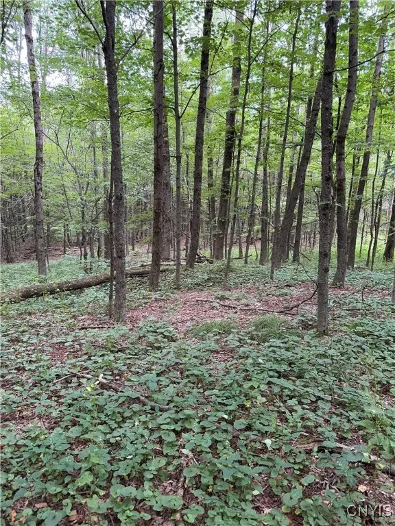 3776 State Highway 80, Sherburne, New York 13460, Sherburne, New York 13460, ,Land,For Sale,3776 State Highway 80, Sherburne, New York 13460,S1621136