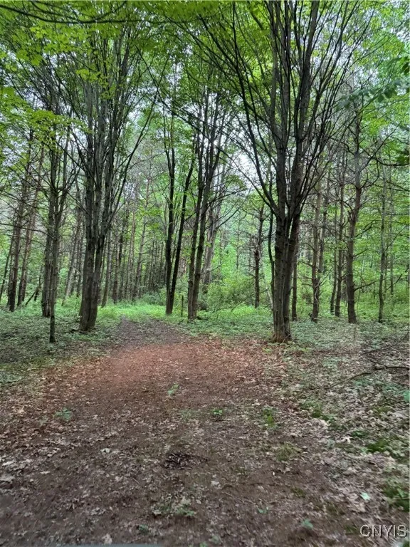 3776 State Highway 80, Sherburne, New York 13460, Sherburne, New York 13460, ,Land,For Sale,3776 State Highway 80, Sherburne, New York 13460,S1621136
