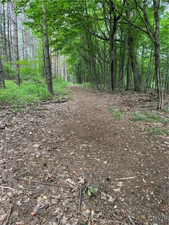 3776 State Highway 80, Sherburne, New York 13460, Sherburne, New York 13460, ,Land,For Sale,3776 State Highway 80, Sherburne, New York 13460,S1621136