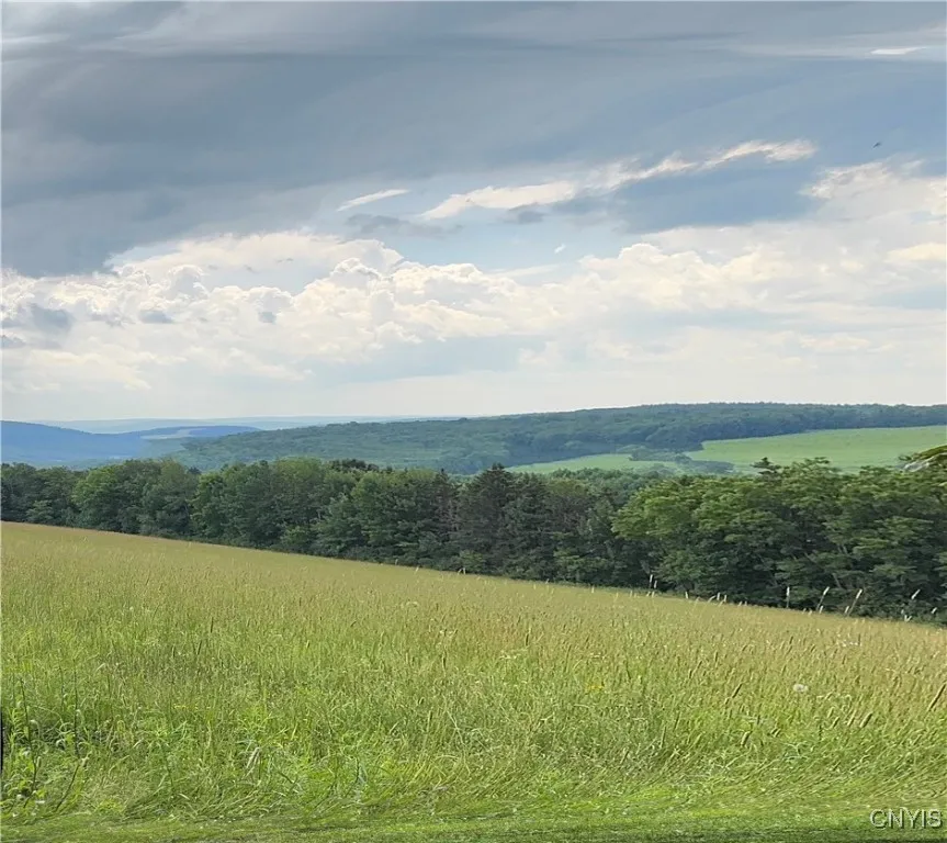 3776 State Highway 80, Sherburne, New York 13460, Sherburne, New York 13460, ,Land,For Sale,3776 State Highway 80, Sherburne, New York 13460,S1621136