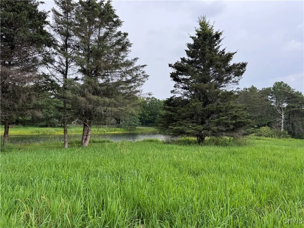 3776 State Highway 80, Sherburne, New York 13460, Sherburne, New York 13460, ,Land,For Sale,3776 State Highway 80, Sherburne, New York 13460,S1621136
