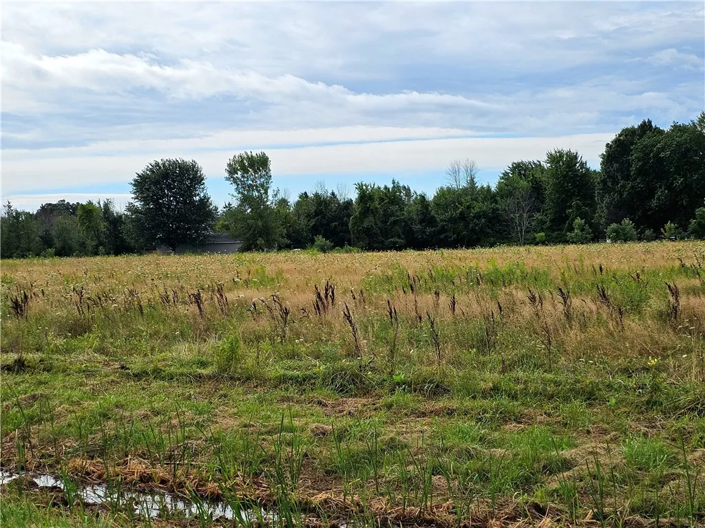 216 Collamer Rd, Parma, New York 14468, Parma, New York 14468, ,Land,For Sale,216 Collamer Rd, Parma, New York 14468,R1621166