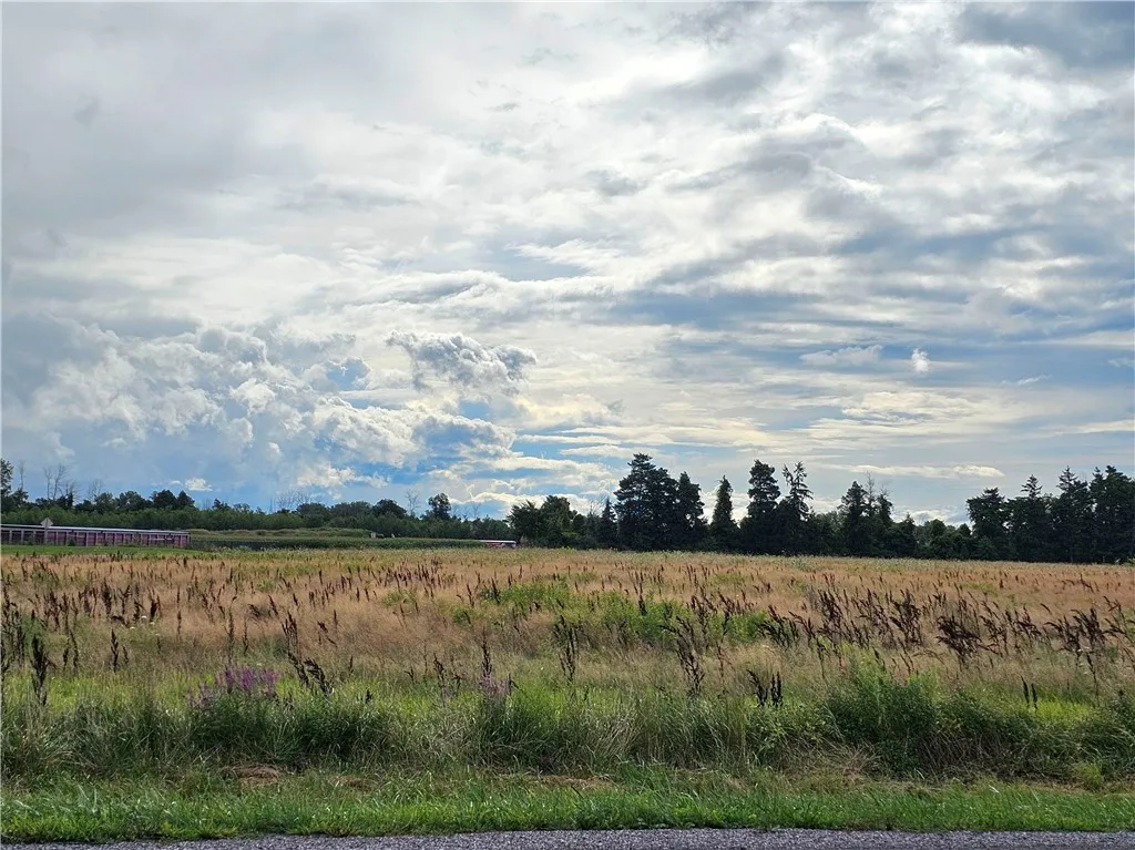 216 Collamer Rd, Parma, New York 14468, Parma, New York 14468, ,Land,For Sale,216 Collamer Rd, Parma, New York 14468,R1621166
