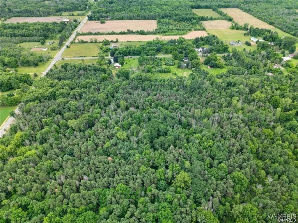 0 Carmen Road, Somerset, New York 14012, Somerset, New York 14012, ,Land,For Sale,0 Carmen Road, Somerset, New York 14012,B1620336