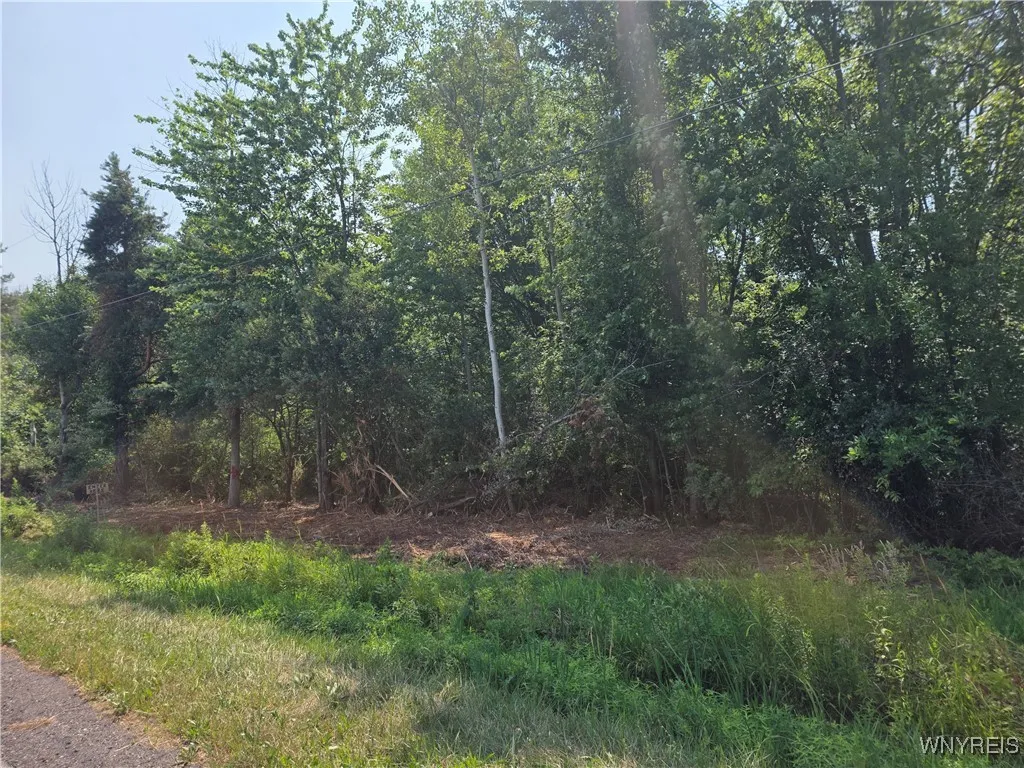 0 Carmen Road, Somerset, New York 14012, Somerset, New York 14012, ,Land,For Sale,0 Carmen Road, Somerset, New York 14012,B1620336