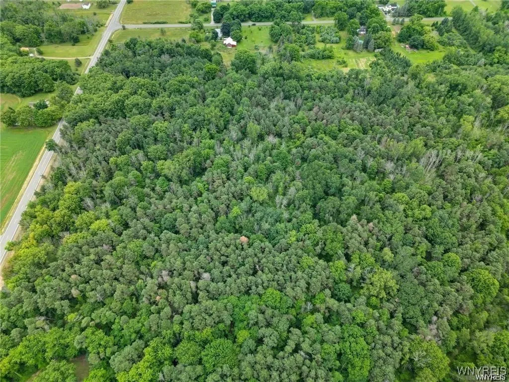0 Carmen Road, Somerset, New York 14012, Somerset, New York 14012, ,Land,For Sale,0 Carmen Road, Somerset, New York 14012,B1620336