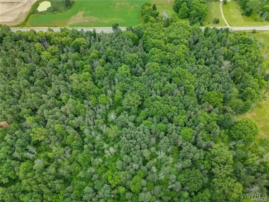 0 Carmen Road, Somerset, New York 14012, Somerset, New York 14012, ,Land,For Sale,0 Carmen Road, Somerset, New York 14012,B1620336